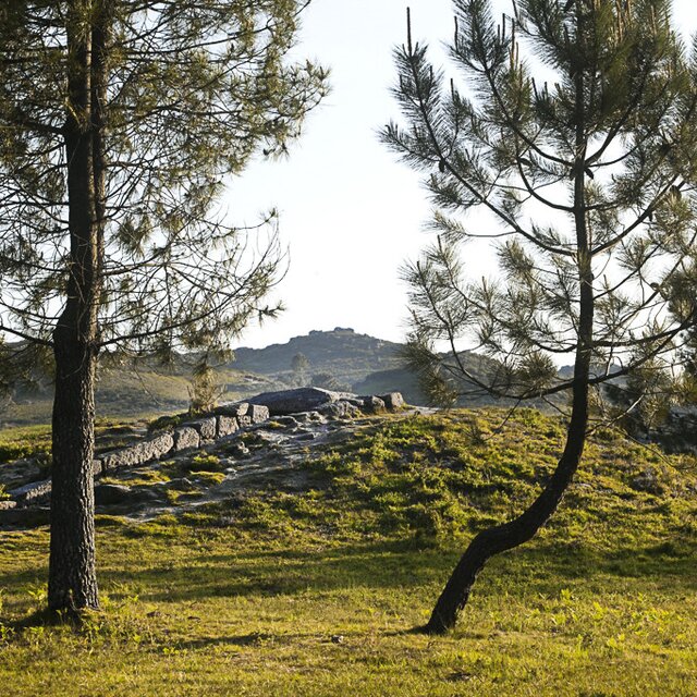 N_CLEO_MEGAL_TICO_DO_MEZIO_1