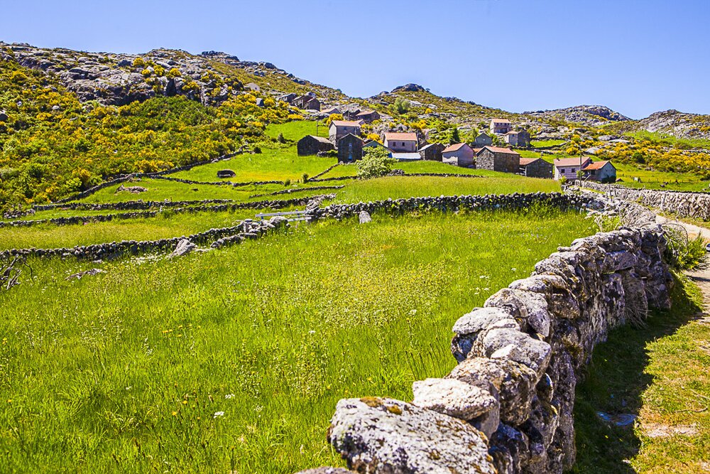 Busgalinhas 001 1 1000 1000