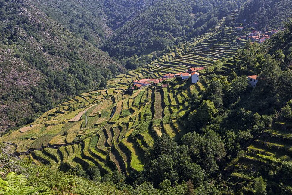 Sistelo 004 1 970 2500