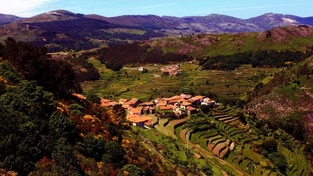 SISTELO_Padrao_Paisagem