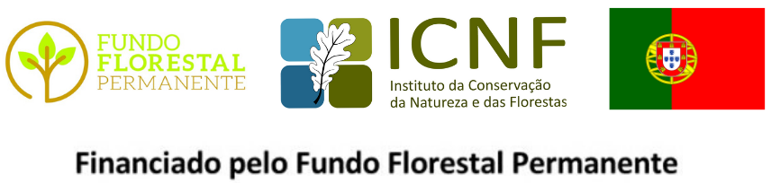 Fundo Florestal Permanente